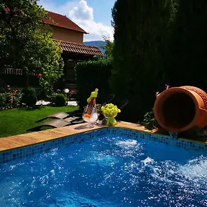 Pensiune Zigen House